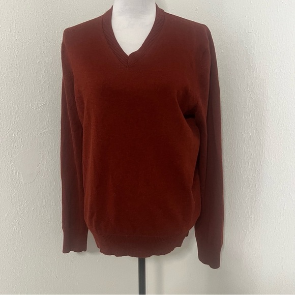 Banana Republic Men’s Large V-Neck 100% Extra Fine Merino Wool Sweater Sienna - Picture 2 of 11